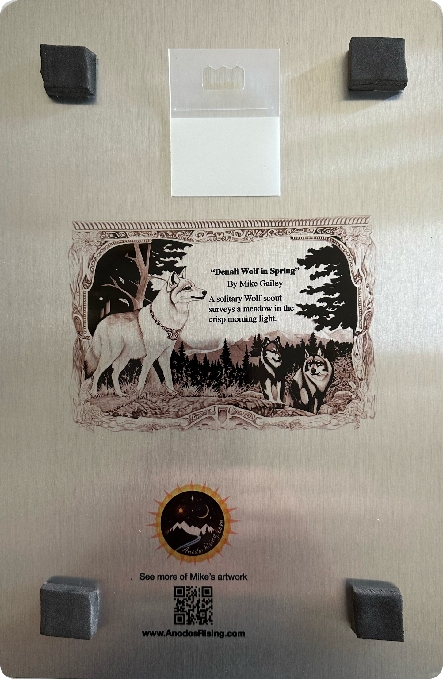 Denali Wolf in in Spring Metal Wall Art print