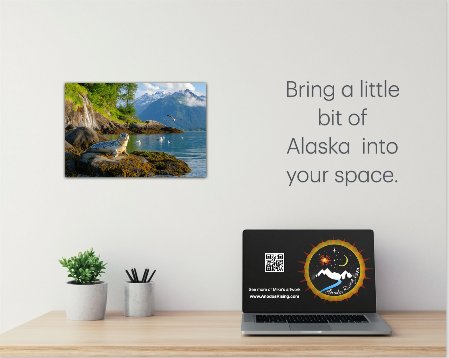 Harbor Seal in Katchemak Bay Alaska