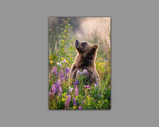 Wildflower Grizzly Metal Wall Art