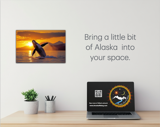 Breeching Humpback in Alaska Waters - Metal Wall Art